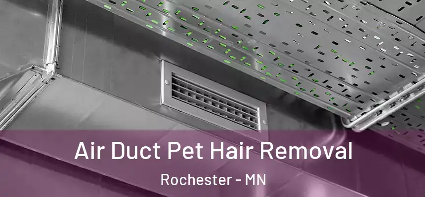  Air Duct Pet Hair Removal Rochester - MN