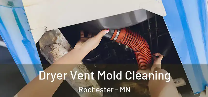 Dryer Vent Mold Cleaning Rochester - MN