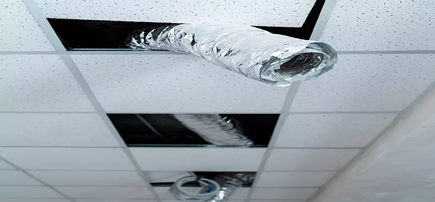 Affordable HVAC Sanitizing After Pest Removal in Rochester