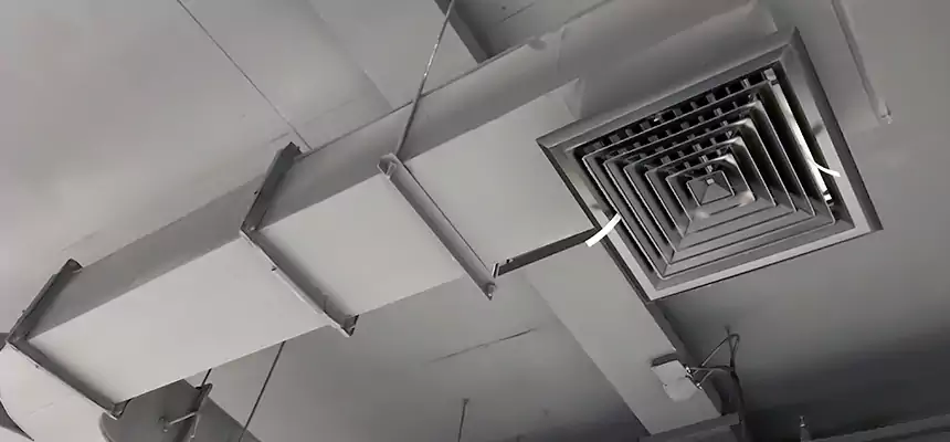 Restorative Allergy Relief Vent Cleaning – Coil, Blower & Housing Detail in Rochester