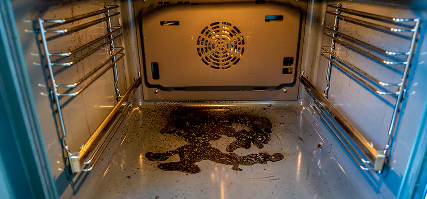 Our Dryer Vent Mold Cleaning Services in Rochester, MN