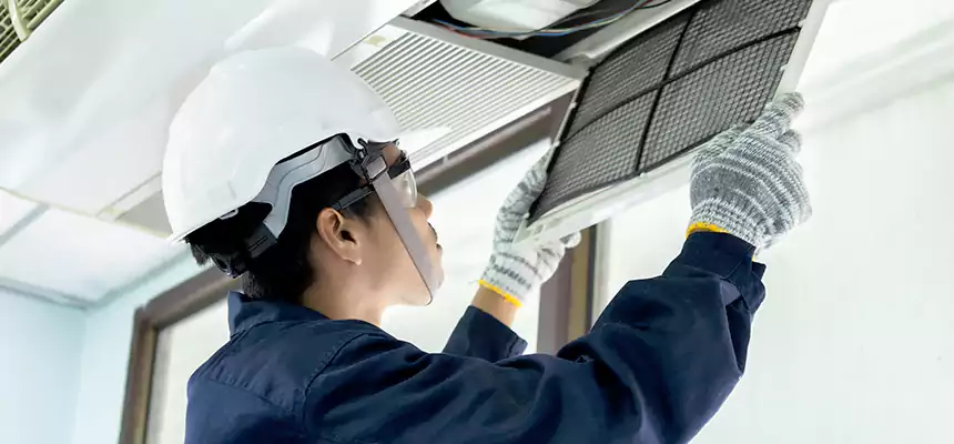 Our Mold & Mildew Removal from Air Ducts Services in Rochester, MN