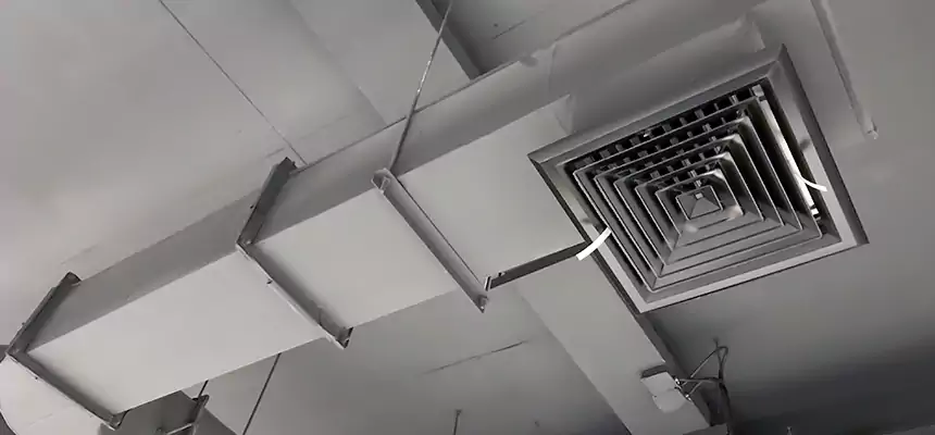 Our Pest Removal From Ducts Services in Rochester, MN