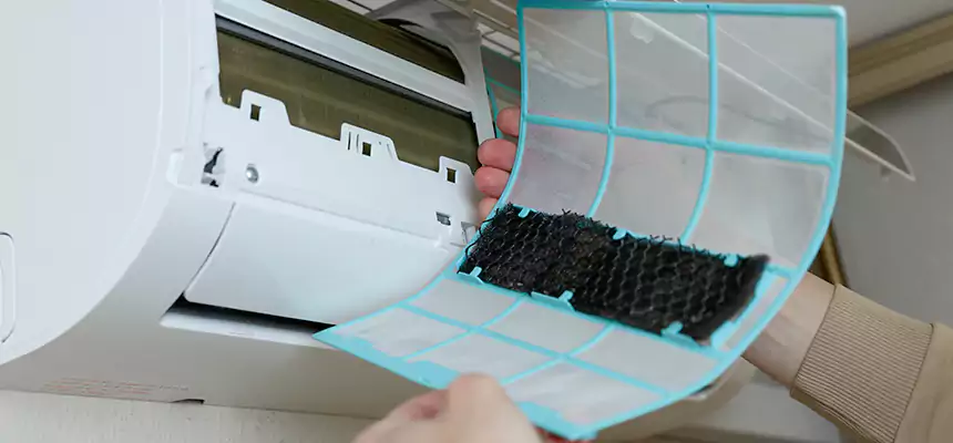 Gentle Ductwork Odor-Control Pet Dander Duct Cleaning in Rochester, MN