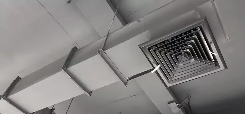 Our Rodent Droppings In Vents Services in Rochester, MN