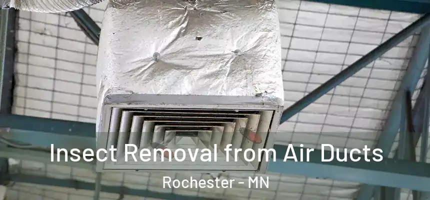  Insect Removal from Air Ducts Rochester - MN