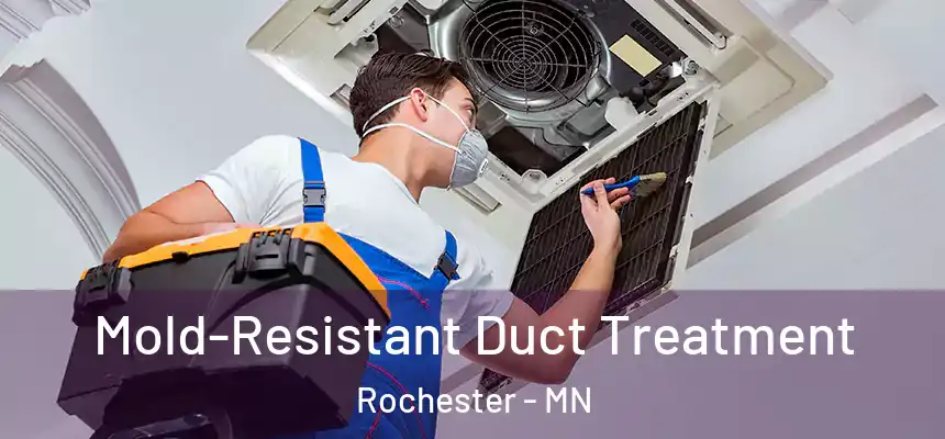 Mold-Resistant Duct Treatment Rochester - MN