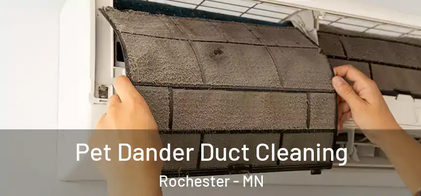 Pet Dander Duct Cleaning Rochester - MN