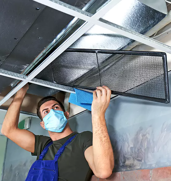 About Air Duct Bacteria Removal in Rochester
