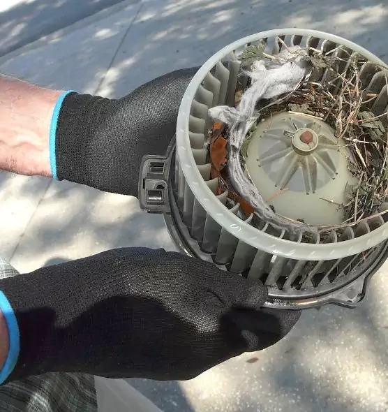 About Air Duct Mice Removal in Rochester, MN