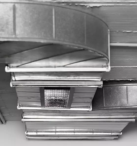 Professional Air Duct Pest Removal in Rochester, MN