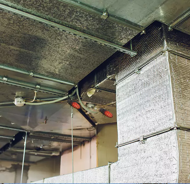 Why Homeowners & Businesses Trust Us in Rochester, MN?