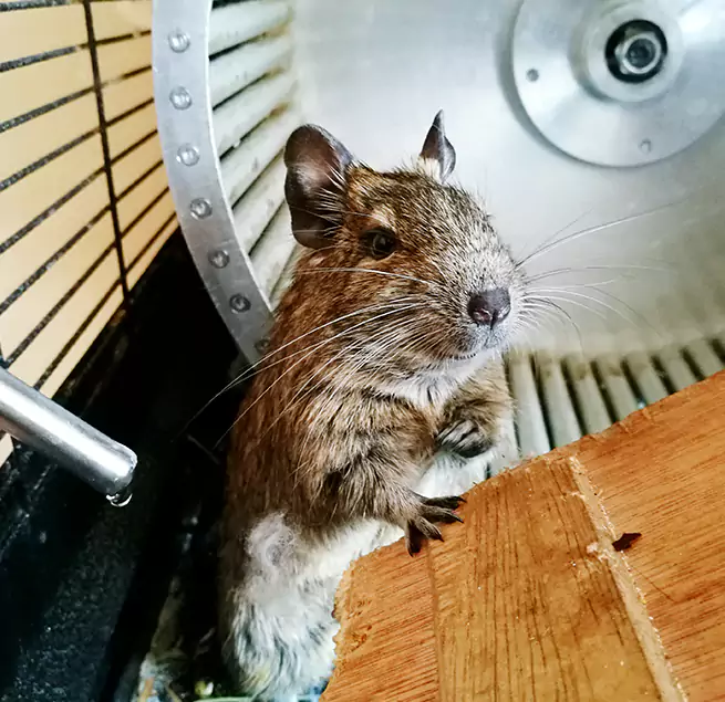 Why Homeowners & Businesses Trust Us Rochester, MN