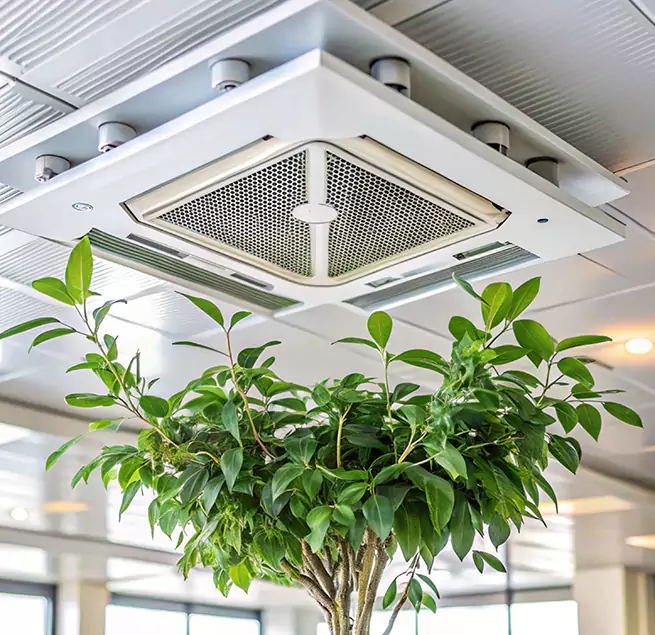 Why Homeowners & Businesses Trust Us in Rochester, MN?